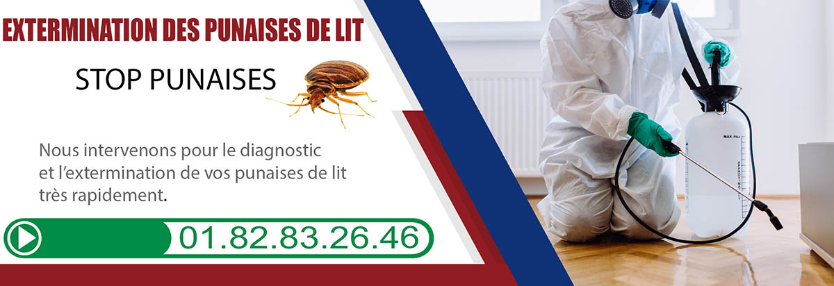 Punaises de Lit Courdimanche 95800